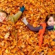 Осінні канікули можуть продовжити до 3-4 тижнів, – санлікар Кузін