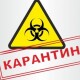 Шмигаль заявив, що карантин після 22 травня продовжать