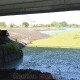 У Ковелі розчищають Турію