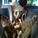 14 бригада за добу знищила дві роти окупантів і привезла автобус полонених