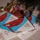 Лучанка видала першу книгу з ілюстраціями «мами» знаменитого Гуся