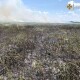 Вогонь охопив 2 гектари. На Волині горить торфовище
