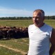 Більше сотні тварин загинули: вівчар пригнав з Донеччини на Волинь врятованих овець