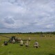 Волинська тероборона стала ще потужнішою