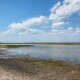 Завдяки дощам у Світязі піднявся рівень води, – керівник офісу водних ресурсів