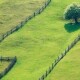 Як українцям продати земельний пай. Детальна інструкція