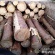 На Волині затримали автомобіль з краденими колодами