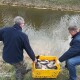 У водойми Центрального парку Луцька випустили 300 кілорамів риби