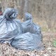 Як лісівники Волині борються зі «сміттєвим монстром». ФОТО
