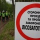 На Волині лісівників навчатимуть обирати безпечні методи роботи