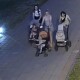 У Луцьку троє жінок викрали квіти, висаджені в центральному парку. ВІДЕО
