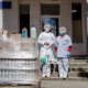 Лінія магазинів EVA передала засоби дезінфекції медикам волинських лікарень
