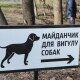 Влада Луцька не може облаштувати місця для вигулу собак. Причина – пандемія коронавірусу