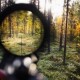 На Волині браконьєр стріляв у бік єгеря