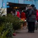 Як у Луцьку отримати дозвіл на продаж новорічних дерев