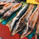 500 гривень за рибину. Як на Світязі заробляють на вуграх