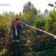 У Луцькому районі горить торфовище