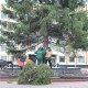 У Нововолинську уже встановили головну ялинку