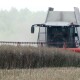 На Волині через дощі затягуються жнива