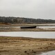Створили робочу групу, яка розбиратиметься, чому міліє Світязь