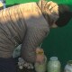 Жителі громади на Волині збирають продукти у зону ООС
