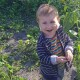 Всього одна доба на порятунок: 2-річному волинянину збирають гроші на операцію