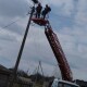 На Волині електрики встановили гнізда для лелек