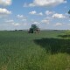 Волиняни та сусідні області будуть з хлібом. Підсумки посівної