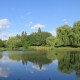 На очищення річки Стир у Луцьку витратять мільйон гривень