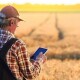 В Україні вперше відзначають День фермера