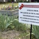 У селі неподалік Луцька облаштували сквер пам'яті загиблим на війні бійцям