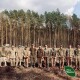 Допомагає на позиціях бійцям: на Волині прикордонники висаджували ліс. ФОТО