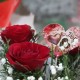 Луцьк – напередодні Дня святого Валентина. ВІДЕО