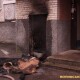 У Луцьку на Соборності сталася пожежа в п'ятиповерхівці. Відео