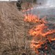На Волині  вщент вигоріло 30 гектарів землі. ФОТО