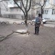 У Луцьку піймали людей, які без дозволу різала дерева. ФОТО