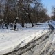 Хмарно і без опадів: якою буде погода у Луцька 25 лютого