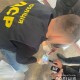 На хабарі спіймали головного лікаря волинської лікарні