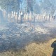 На Волині від вогню рятували цвинтар. ФОТО