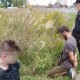 Хроніка пригод Луцька і Волині. Середа, 21 серпня
