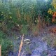 У Луцьку знайшли нове джерело смороду. «Луцькводоканал» каже, що це – просто аварія