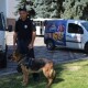 Зі службовими собаками, амуніцією і цукерками: у Луцьку святкують День Національної поліції. ФОТО