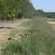 Як бійці тероборони Волині готуються зустрічати ворога. ВІДЕО