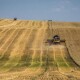 На Волині зібрали 50% врожаю ранніх зернових