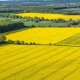 Державі повернули особливо цінні землі Волині, які коштують майже півмільярда гривень