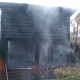 У Луцькому зоопарку в пожежі загинуло три мавпи