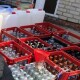 300 літрів спирту та 50 фальсифікату: у Луцьку викрили підпільний цех
