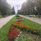 У Центральному парку Луцька запустили безкоштовний Wi-Fi