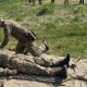 У Володимирі відбувся стрілецький день. Як це було