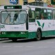 У Луцьку 9 тролейбусів курсуватимуть за зміненим графіком